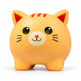 Gato naranja