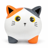 Gato tricolor